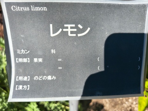 IMG_20261008_134300283_HDR