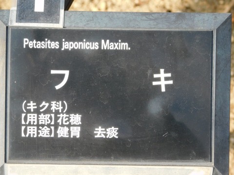 DSCN3341