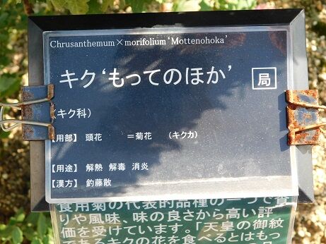 DSCN6573
