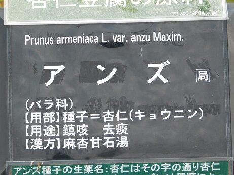DSCN7260