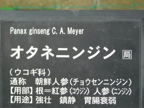 DSCN7114