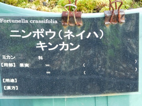 DSCN3077