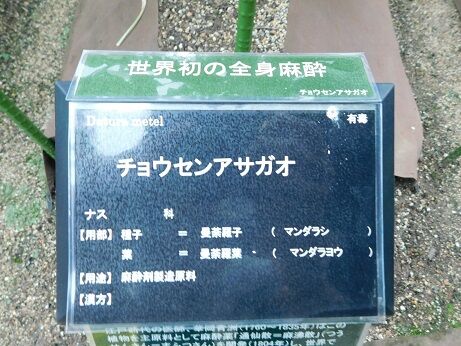 DSCN9918