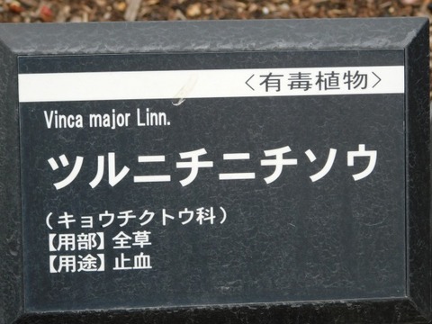 DSCN3657