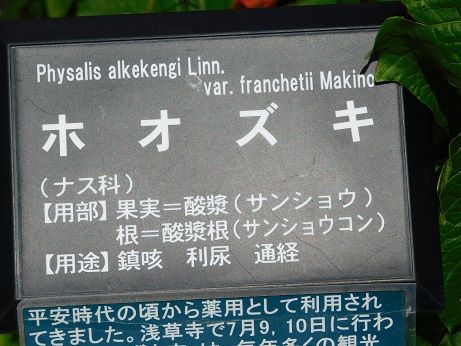 DSCN5970