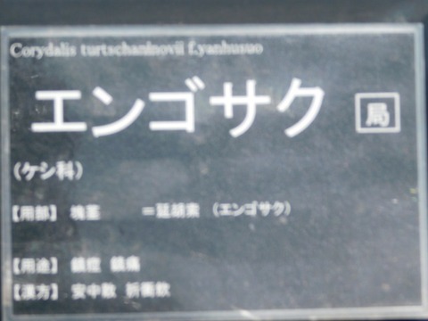DSCN3895