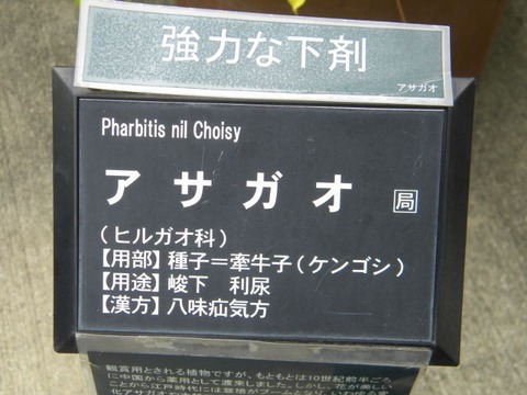 DSCN9982