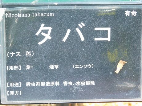 DSCN5865