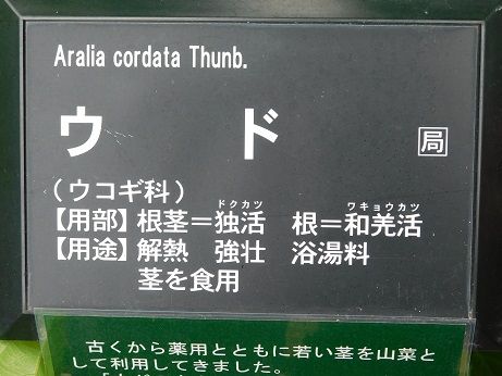 DSCN3204