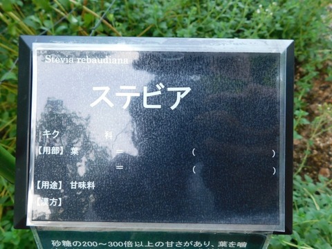 DSCN2733