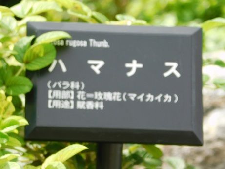 DSCN3847