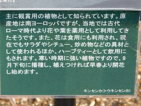 DSCN1480