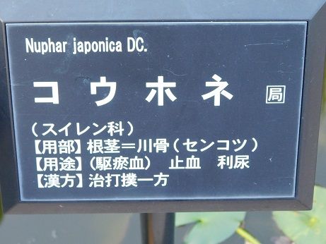 DSCN3329