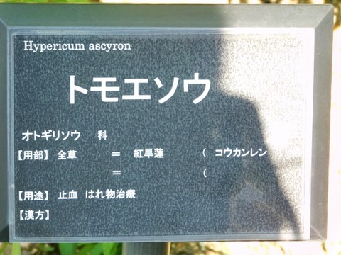 DSCN2172