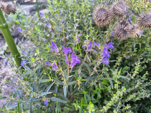 IMG_20261003_141021244_HDR