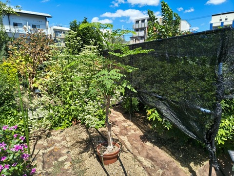 IMG_20260805_102427094_HDR