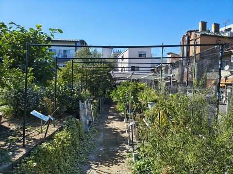 IMG_20261008_133701471_HDR