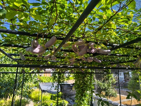 IMG_20261003_141451411_HDR