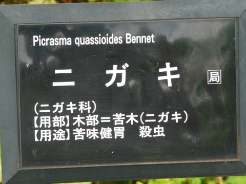 DSCN2615