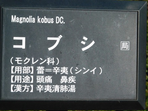 DSCN6310