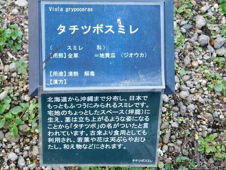 DSCN9030