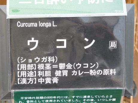 DSCN3500