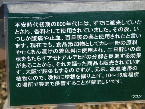 DSCN2315