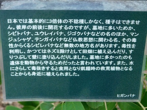 DSCN2728
