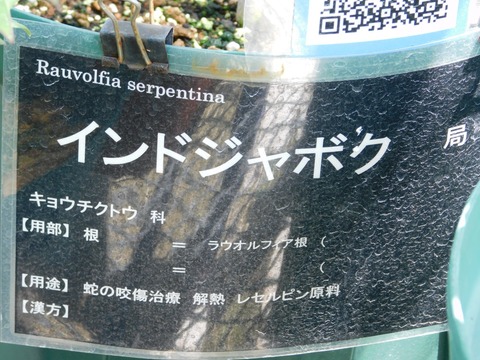 DSCN4495