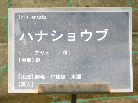 DSCN4183