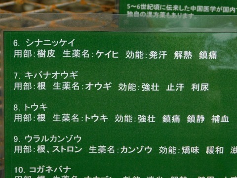 DSCN7007