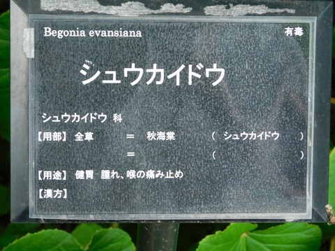 DSCN2330
