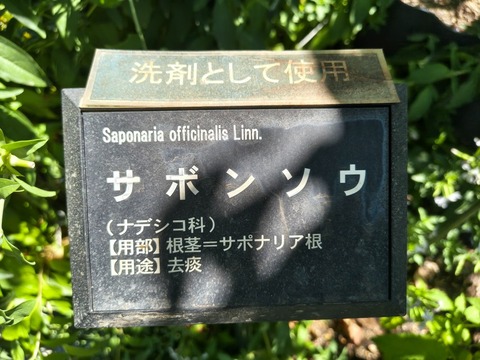 IMG_20260805_102313037_HDR