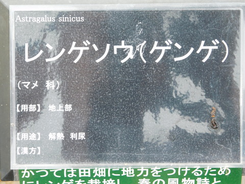 DSCN7254