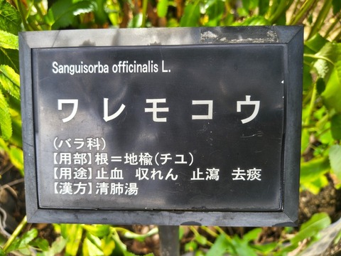 IMG_20260911_135223898_HDR