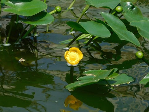 DSCN3888