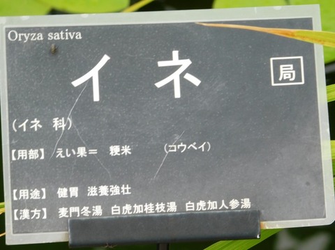 DSCN2603