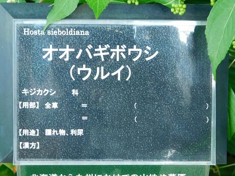 DSCN0138