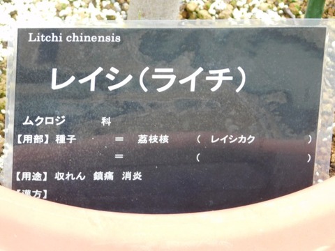 DSCN2278