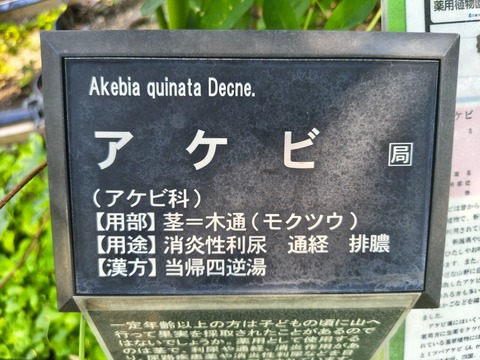 IMG_20260716_153927596_HDR