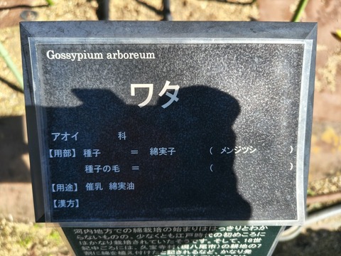IMG_20261003_141056957_HDR