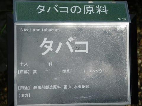 DSCN2302