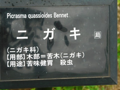 DSCN2342