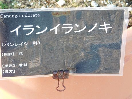 DSCN5872
