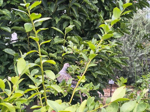 IMG_20260723_113429624_HDR