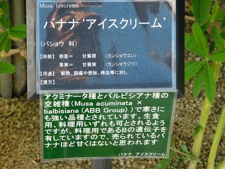 DSCN3899
