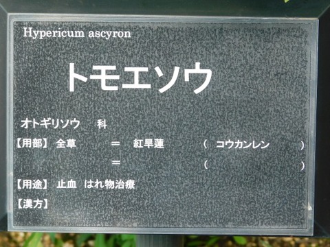 DSCN2178