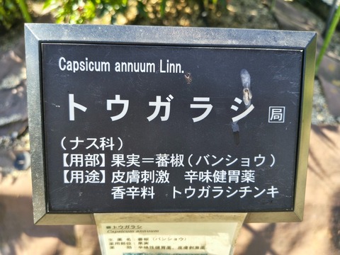 IMG_20261003_140947995_HDR
