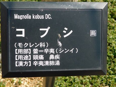 DSCN7145