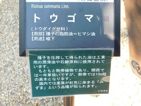 DSCN3261